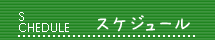 スケジュール